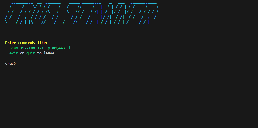 ScanForge: TCP Port Scanner Image
